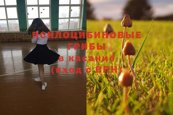 мескалин Инта