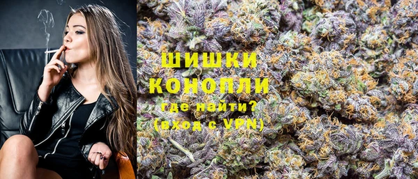 шишки Иннополис