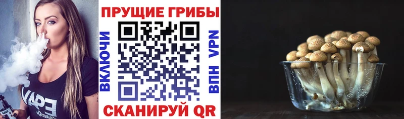 Галлюциногенные грибы прущие грибы  наркота  Собинка 